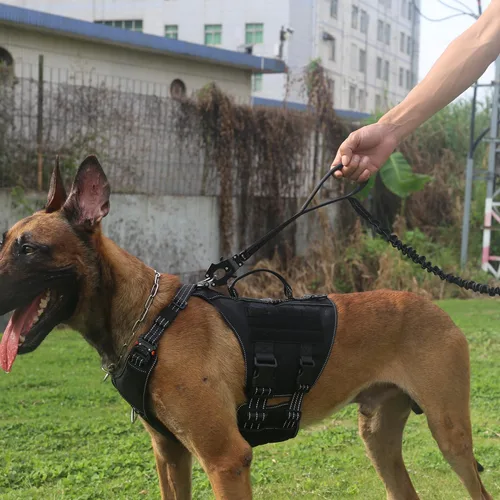 Vista 2 de ICEFANG Correa táctica para perro, correa elástica para entrenamiento K9 con 2 asas de control, cierre de metal de liberación rápida resistente