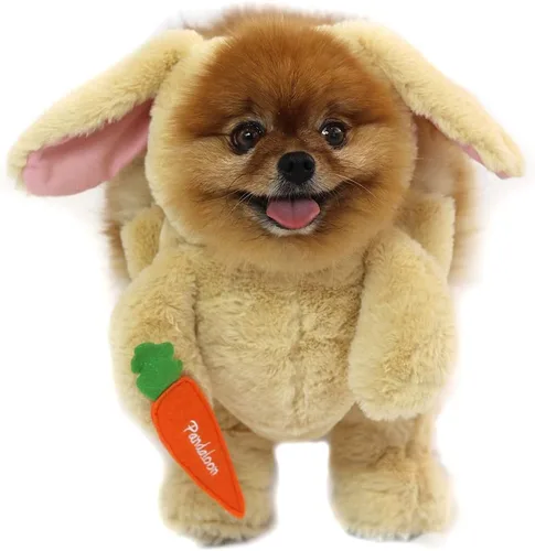 Vista 12 de Pandaloon Disfraz de Halloween para perro, como se ve en Shark Tank, patentado, divertido disfraz con brazos para perros y gatos pequeños y medianos