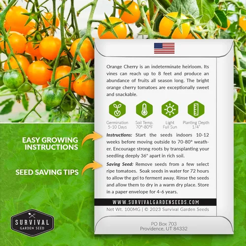 Vista 2 de Semilla de tomate cereza naranja para plantar, 1 paquete con instrucciones para plantar y cultivar tomates cherry naranja afrutados en el huerto