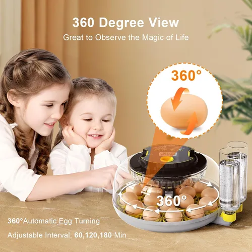 Vista 4 de IBKINXX Incubadora para incubar huevos: capacidad de 18 huevos, girador automático de huevos, control de temperatura y humedad, visualización