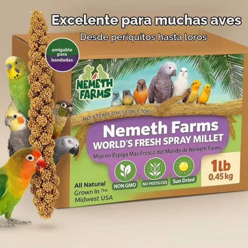 Vista 3 de Nemeth Farms Spray Millet - Tapas comestibles solamente, sin OMG y secado al sol, 1 libra para periquitos, canarios y pinzones