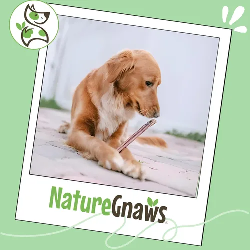 Vista 6 de Nature Gnaws Bully Sticks - Masticables para perros sin cuero crudo de larga duración, 1 libra