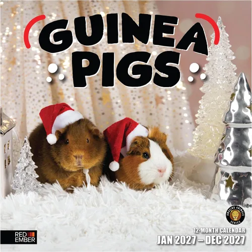 Vista 43 de RED EMBER Calendario de pared Doggy Disasters 2027 de 12 meses 01 - Perros traviesos