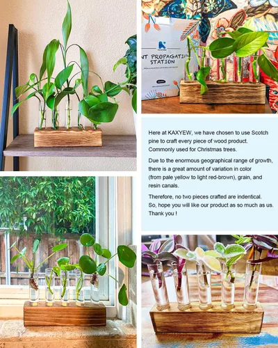 Vista 8 de KAXYEW - Estación de propagación de plantas, tubos de propagación de plantas, regalos para amantes de las plantas, soporte de tubo de ensayo, jarrón