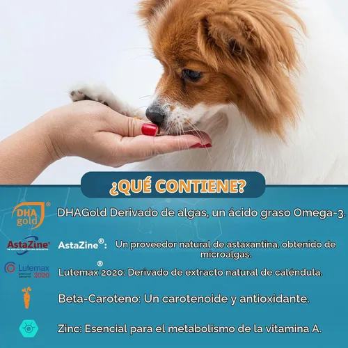 Vista 3 de NOVEHA Suplemento ocular para perros (90 masticables), apoyo visual con luteína + vitamina C y antioxidantes de astaxantina, vitaminas para perros