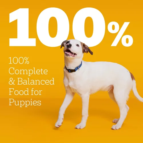 Vista 2 de Pedigree Puppy Growth & Protection - Alimento seco para perros con sabor a pollo y verduras - 3.5 libras Bolsa 100% completo y equilibrado, 36