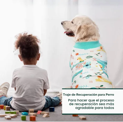 Vista 5 de Kuoser - Traje de recuperación posterior a la cirugía para perros y gatos, camisa profesional y vendaje de heridas abdominales, reemplaza collar