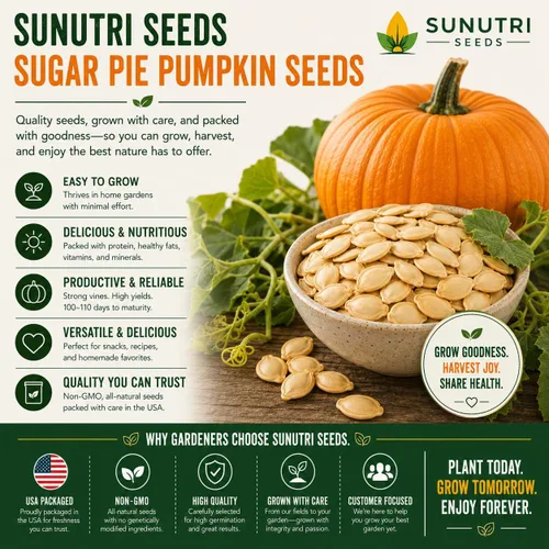 Vista 9 de Semillas de calabaza, más de 25 pasteles de azúcar, reliquia, semillas sin OMG, Cucurbita Pepo