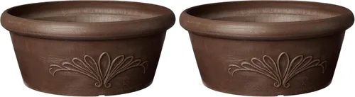 Vista 14 de Arcadia Garden Products PSW TA20C Bandeja Compuesta de Plástico/Piedra/Madera para Bulbos – Sin Orificio de Drenaje (Perforable), 8"x3", Chocolate