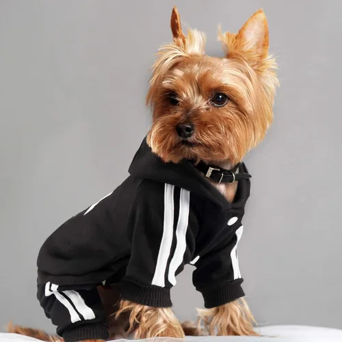 Vista 6 de Weowin - Traje para mascotas – Lindo suéter con capucha para perro, ropa de invierno, pijama de 4 patas, color negro para cachorros, perros