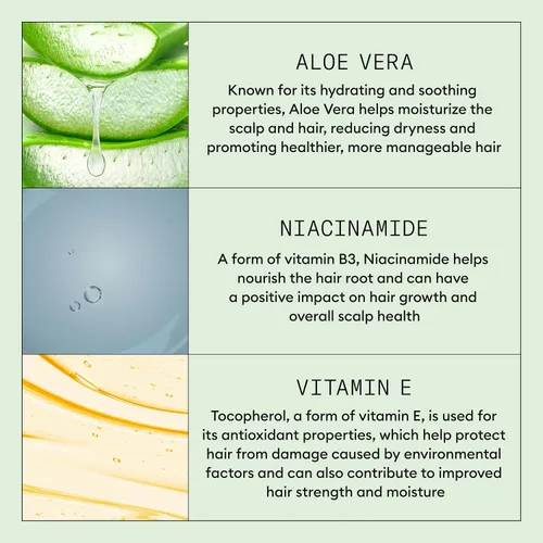 Vista 6 de Nioxin - Limpiador de cuero cabelludo seco y con comezón, línea de alivio Para cuero cabelludo sensible, seco y con picazón Fabricado con aloe