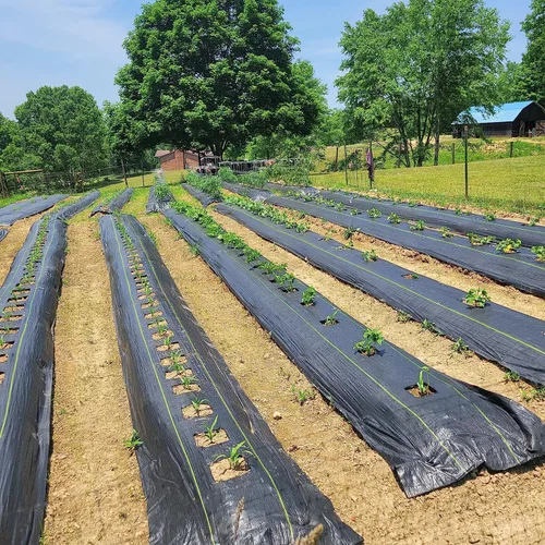 Vista 7 de Solim Tela de barrera de malezas de alta calidad de 4 x 300 pies, duradera y resistente, alfombrilla de control de malas hierbas de jardinería