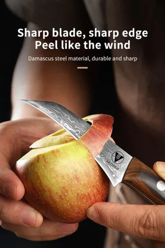 Vista 5 de Cuchillo Mondador de 3.5 pulgadas de Acero Damasco - Cuchillo de Chef para Pelar Forjado de 67 Capas para Frutas/Verduras con Mango de Madera Maciza