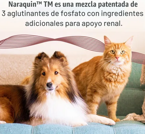 Vista 2 de Nutramax Laboratories NARAQUIN™ Complemento de unión de fosfato dietético + apoyo renal para gatos y perros, 60