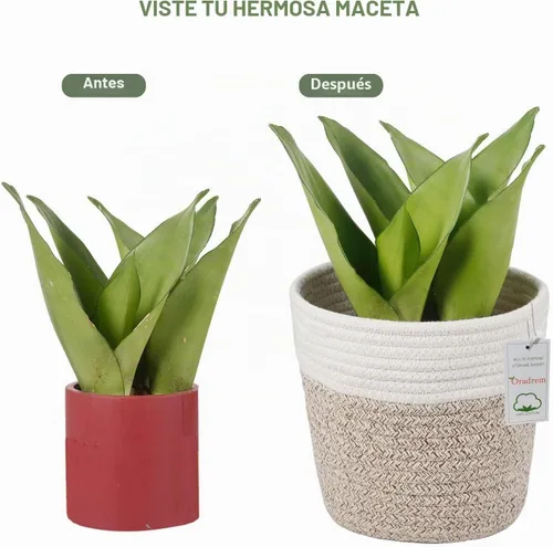 Vista 4 de Cesta de Planta de Cuerda de Algodón Cesta Tejida Moderna para Maceta de Flores de 6" Macetas de Interior de Piso, Organizador de Almacenamiento