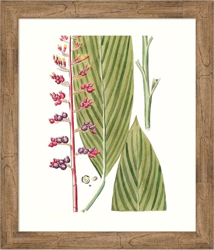 Vista 17 de Amanti Art Lienzo decorativo para pared enmarcado de 24 x 20 pulgadas, hojas de los trópicos III por Vision Studio, arte de pared de naturaleza