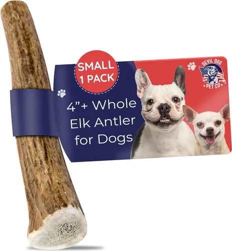 Vista 18 de Devil Dog Pet Co. Cuernos de alce divididos para perros, masticables naturales para perros con médula expuesta, larga duración y sin olor