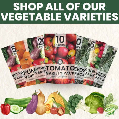 Vista 7 de 20 paquetes de semillas de verduras Paquete variado de supervivencia Temporada 2026 Verduras, hierbas y frutas empaquetadas individualmente