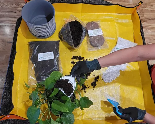 Vista 7 de UpBloom - Kit de terapia de plantas para macetas de interior, trasplante y cuidado general de plantas domésticas