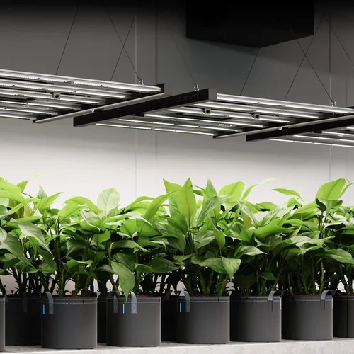 Vista 8 de AC Infinity IONFRAME EVO3, Samsung LM301H EVO Bar Luz LED de cultivo 2x4, 840 diodos, con controlador de horario, luces comerciales de espectro