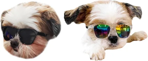 Vista 15 de G014 Dog Cat Pet - Gafas de sol de los años 80 para razas pequeñas de hasta 15 libras (paquete de 2 unidades, negro + espejo negro-azul)