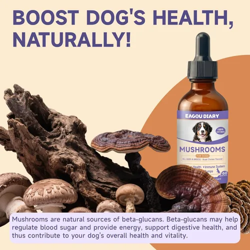 Vista 6 de Hongo para perros – 7 suplementos de hongos para perros, apoya la salud articular, cognición, celular e intestinal con melena de león, reishi, cola