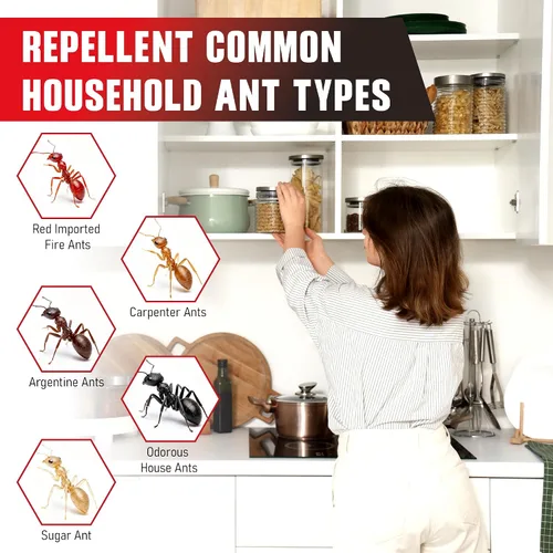 Vista 2 de Cebo de gel para hormigas de 4 tubos, uso en interiores y exteriores, mantiene alejadas a la mayoría de las principales especies de hormigas