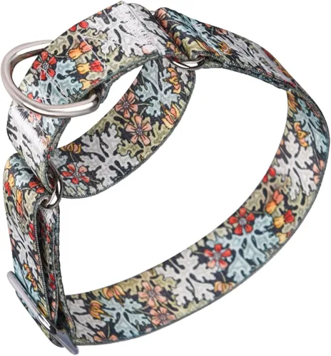 Vista 18 de Collar de perro de nailon resistente, collar ajustable de martingala para perros para caminar y entrenamiento para perros machos y hembras perros