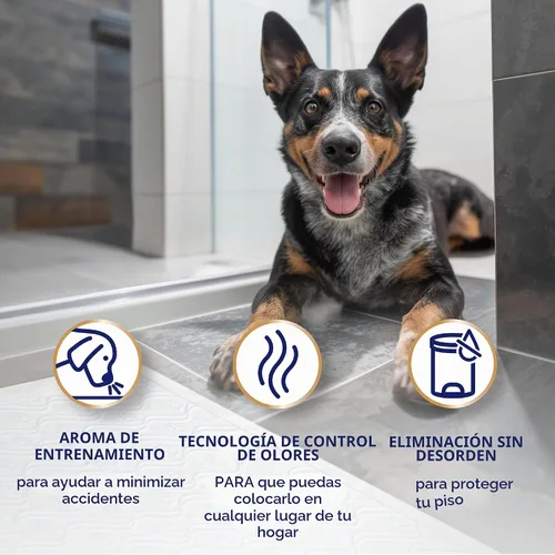 Vista 6 de Scott Pet Guard Advanced Dog Pads - XL - 30 x 36 pulgadas - Paquete de 20