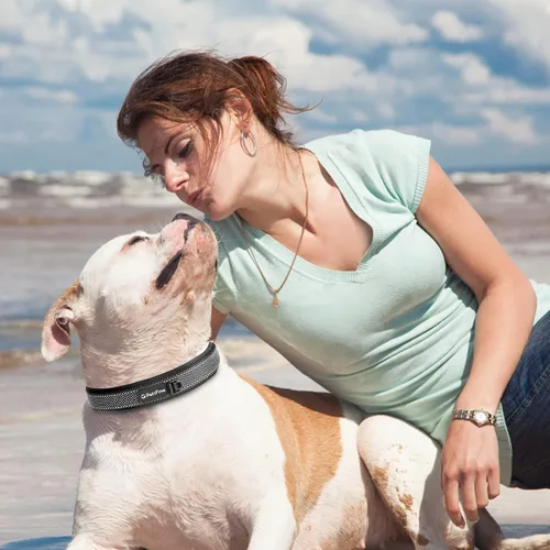 Vista 7 de PetiFine Collares para perros pequeños, collar acolchado de neopreno, collares reflectantes resistentes para mascotas con hebilla de cinturón