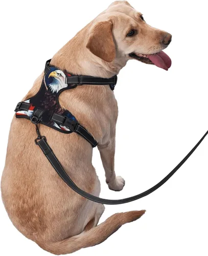 Vista 2 de Dog Harness for Small Dogs with Leash No Pull 2 Leash Clips, Adjustable Soft American Flag and The Eagle Dog Vest Set Small