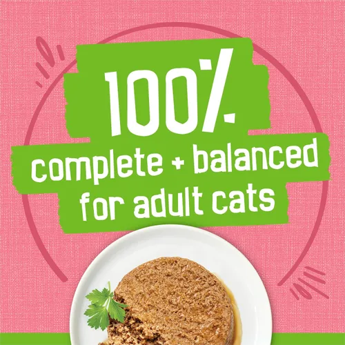 Vista 6 de Purina Friskies - Paté de comida húmeda para gatos, cena de salmón en paté (paquete de 24) latas de 5.5 onzas