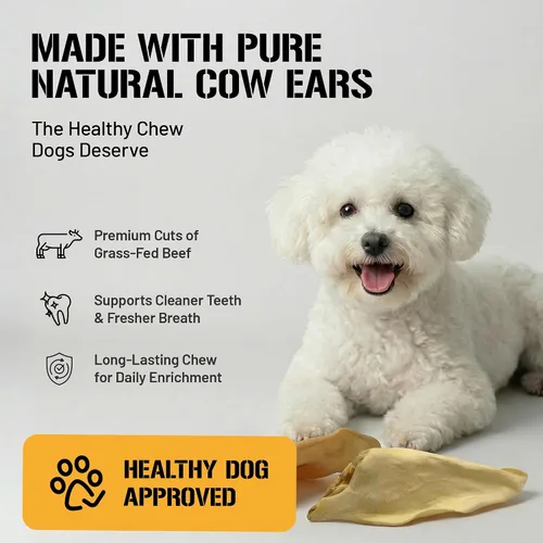 Vista 4 de Dog Chits Orejas de vaca para perros – Golosinas para perros totalmente naturales con orejas de vaca y masticables de entrenamiento – Alto