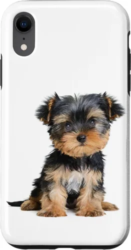 Vista 25 de Yorkie Puppy Portrait Cute Yorkshire Terrier Dog Lover - Carcasa para iPhone 17