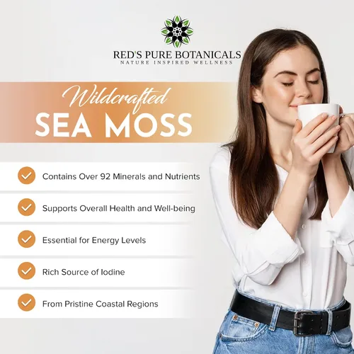 Vista 4 de Wildcrafted Sea Moss – Musgo marino irlandés saludable, musgo marino crudo de rocas y camas marinas de Santa Lucía – 4 oz seco hace 60-80oz Seamoss