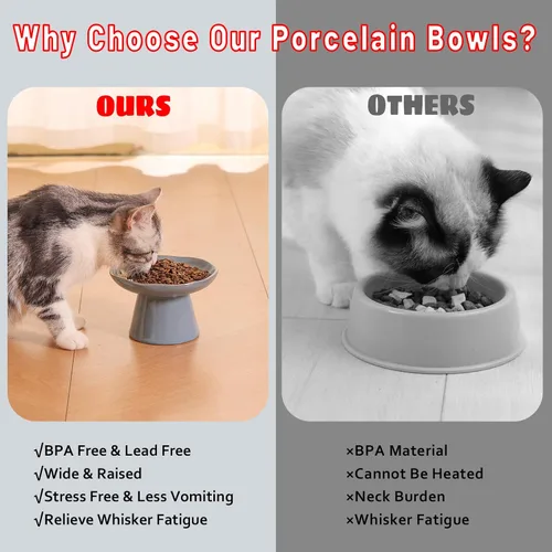 Vista 6 de Cuenco elevado de cerámica extra ancho de 6.1 pulgadas para comida de gato, comedero elevado poco profundo para mascotas para alimentación, cuencos