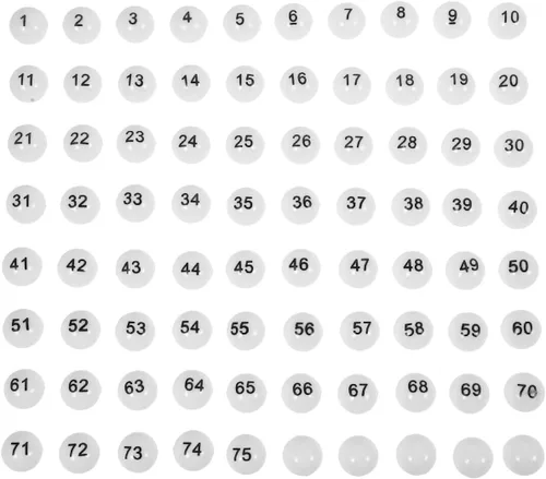 Vista 7 de VICASKY Bolas de bingo de repuesto solo bolas de plástico blanco para máquinas de entretenimiento Tableros de juego, números de rifa del 1 al 75