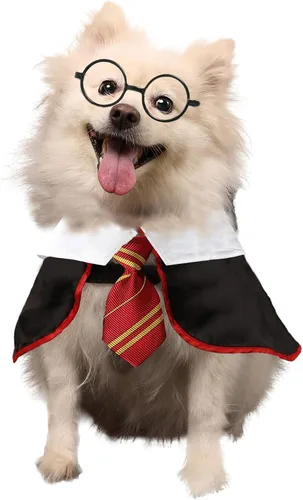 Vista 6 de Disfraz Coomour de bruja, para perro, gato, cachorro, ropa para perros pequeños, medianos, grandes, camisa con gafas