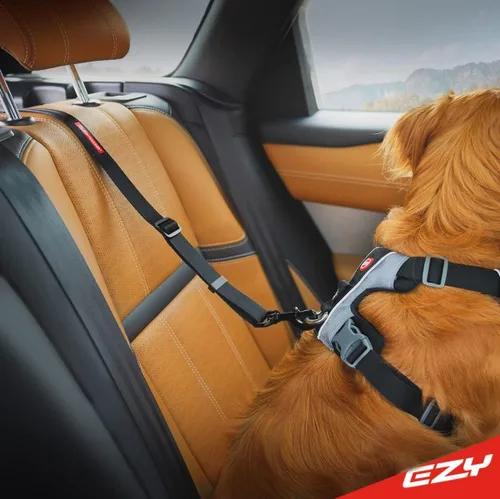 Vista 2 de EzyDog Click ISOFIX Standard – Cinturón de seguridad para perro – 17