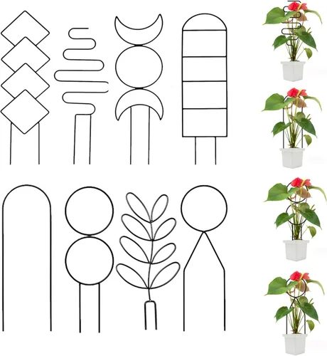 Vista 6 de 8 paquetes de enrejado de alambre de metal dorado para plantas en maceta, plantas trepadoras, amantes de las plantas de interior, Hoya, Pothos