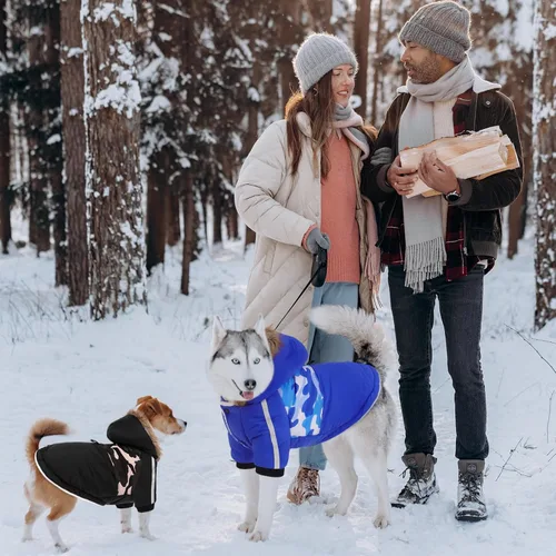 Vista 7 de Queenmore Abrigo cálido de invierno para perro, impermeable para clima frío, chaqueta de nieve para perro, sudadera reflectante con capucha