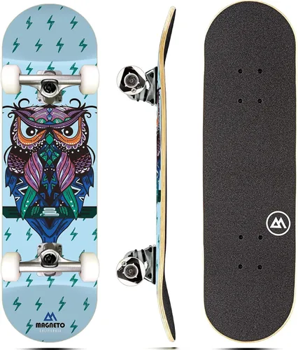Vista 30 de Magneto Complete Skateboard 6-Layer Canadian Maple Double Kick Concave Deck Beginners, and Teens Astronaut