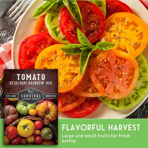 Vista 4 de Heirloom Rainbow Mix Semillas de tomate para plantar, 1 paquete Colorful Tomatoes Seed Blend, High Yield Garden Varieties, Non-GMO Open-Pollinated