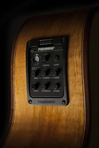 Vista 5 de Washburn Guitarra acústica-eléctrica de 6 cuerdas, natural (WCG66SCE-O)