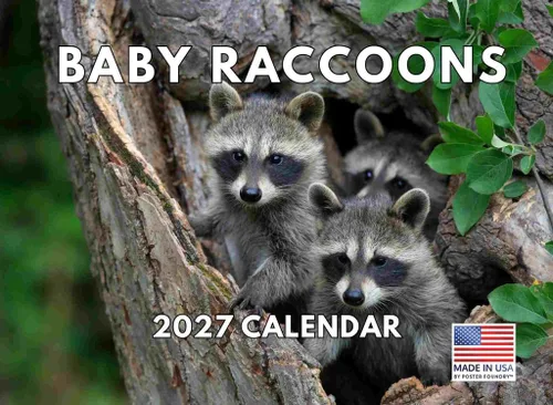 Vista 81 de Calendario mensual de pared de alpaca 2025 Fabricado en Estados Unidos