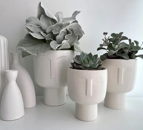 Vista 7 de Macetas para plantas de interior – Macetas altas de cerámica de riego automático de 7 pulgadas, maceta blanca mate con drenaje y maceta