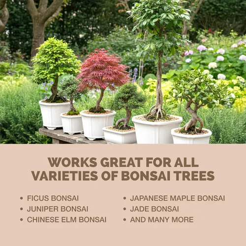Vista 6 de Fertilizante para Bonsái, alimento líquido para plantas para un crecimiento saludable y raíces fuertes en todos los árboles de bonsái, de TPS Plant