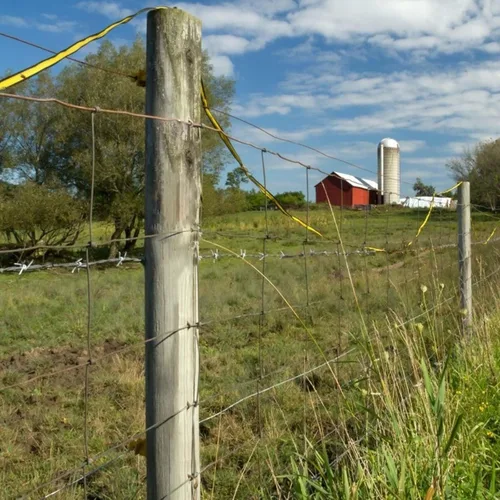 Vista 7 de Cargador de valla eléctrica Plus 2 Millas/8 Acres, Cargador de valla eléctrica PE2, Cargadores de valla eléctrica para ganado para cercar animales
