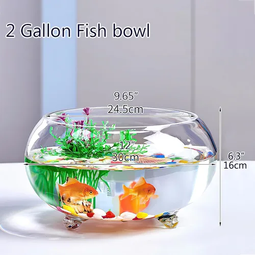 Vista 6 de Tanque de peces de vidrio de 2 galones, resistente y agradable pecera Betta, pequeños acuarios para pequeños peces ornamentales y reptiles, vidrio