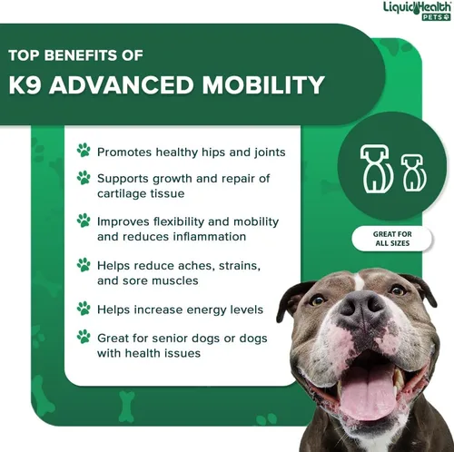 Vista 4 de LIQUIDHEALTH Pets K9 Advanced Mobility Nivel de glucosamina líquida 5000 para perros grandes con condroitina, MSM, Boswellia Serrata – Vitaminas